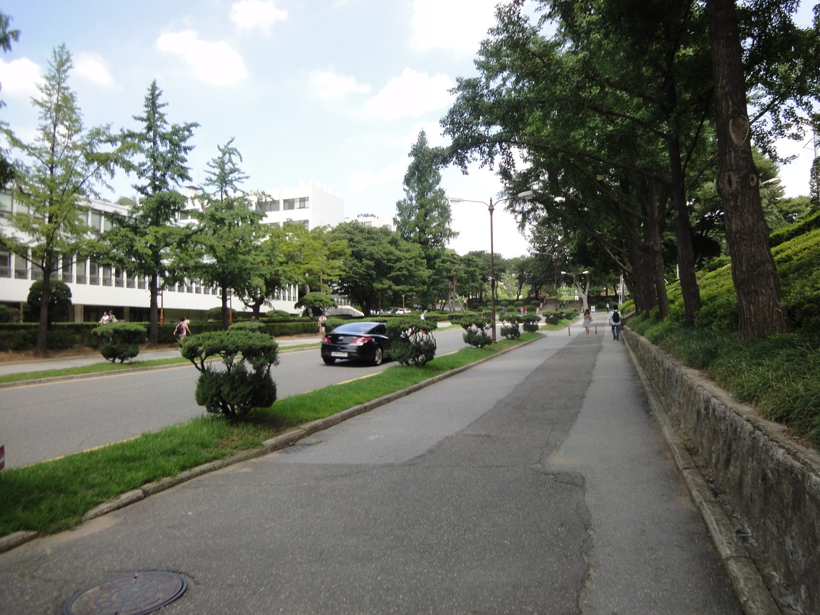 18. 2012년 7월 25일, 연세대학교 캠퍼스 길. 나무가 늘어선 보행로를 오가는 사람들과 옆 차도가 함께 보이는 여름 풍경이다.